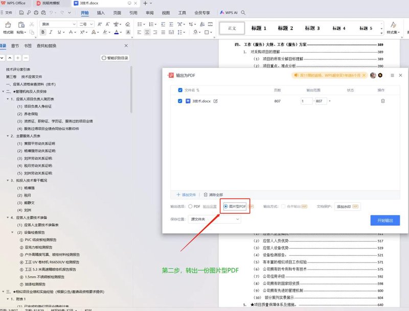 国网双层PDF